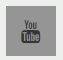 YouTube icon